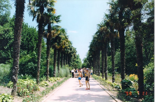 Никитский ботанический сад, пос. Никита